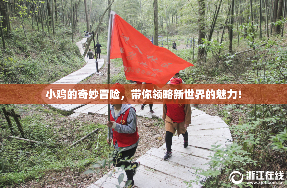小鸡的奇妙冒险，带你领略新世界的魅力！