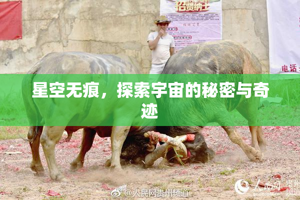 星空无痕，探索宇宙的秘密与奇迹