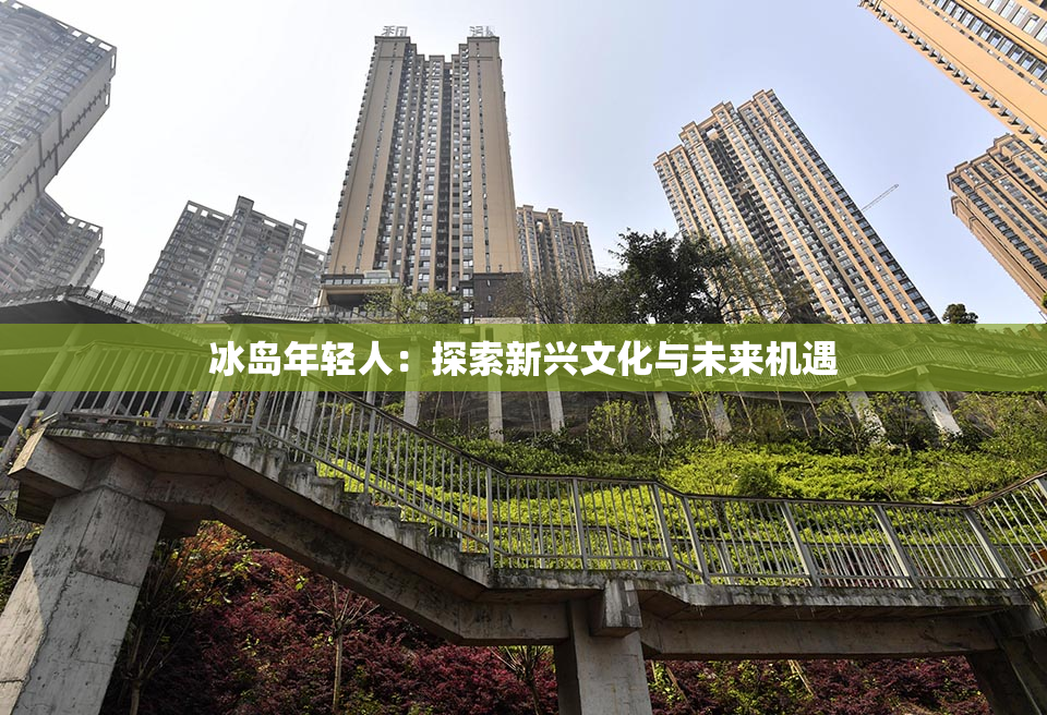 冰岛年轻人：探索新兴文化与未来机遇