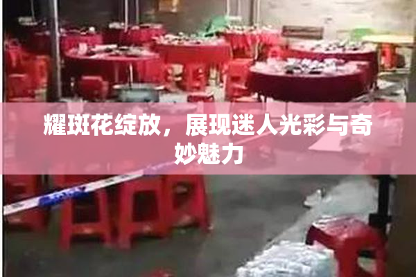 耀斑花绽放，展现迷人光彩与奇妙魅力