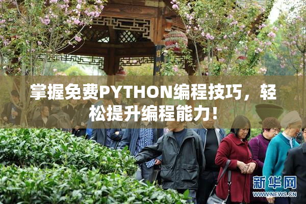 掌握免费PYTHON编程技巧，轻松提升编程能力！