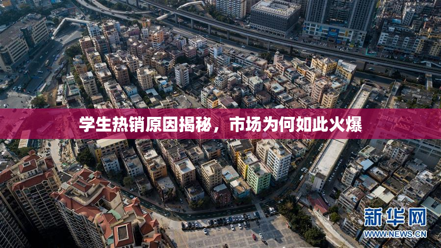 学生热销原因揭秘，市场为何如此火爆