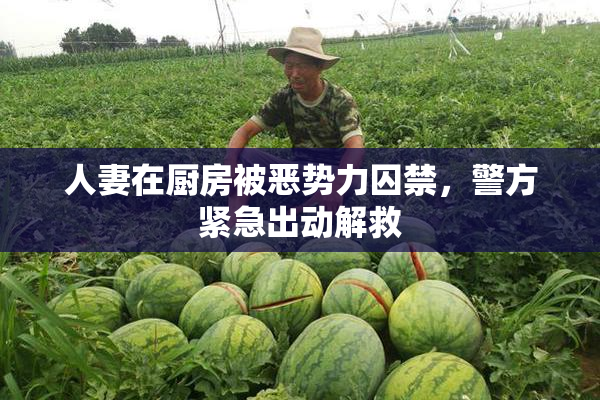 人妻在厨房被恶势力囚禁，警方紧急出动解救