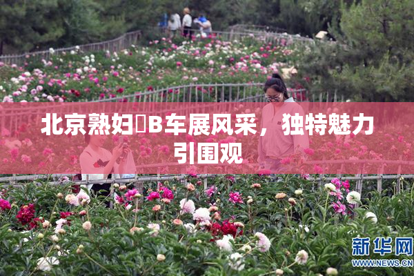 北京熟妇槡B车展风采，独特魅力引围观