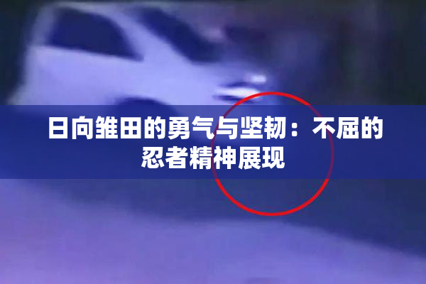 日向雏田的勇气与坚韧：不屈的忍者精神展现