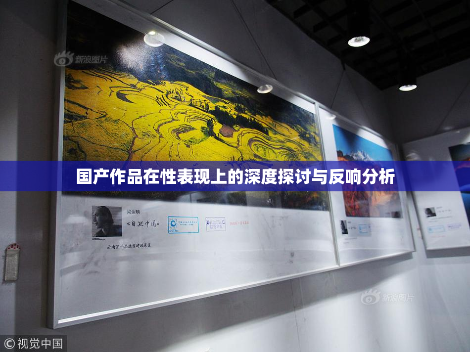 国产作品在性表现上的深度探讨与反响分析