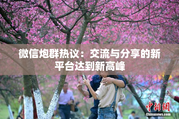 微信炮群热议：交流与分享的新平台达到新高峰