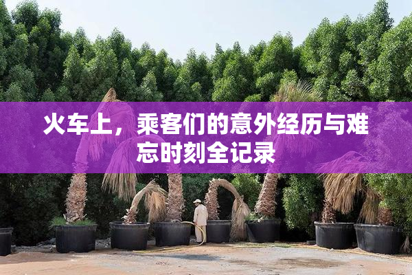 火车上，乘客们的意外经历与难忘时刻全记录
