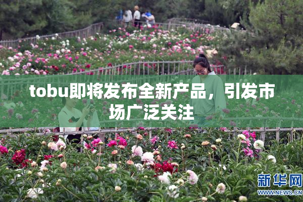tobu即将发布全新产品，引发市场广泛关注