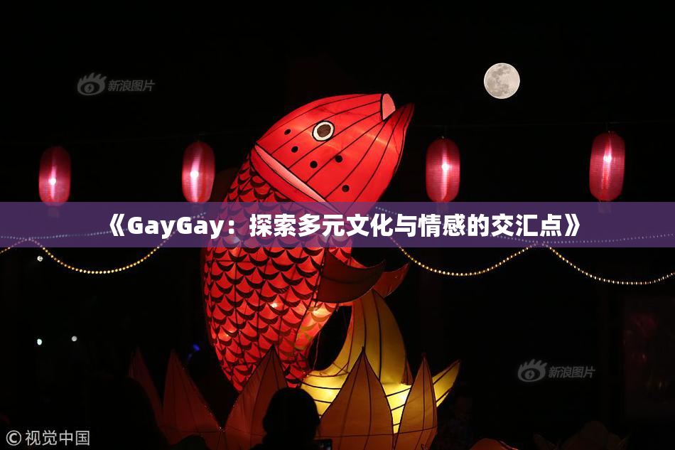 《GayGay：探索多元文化与情感的交汇点》