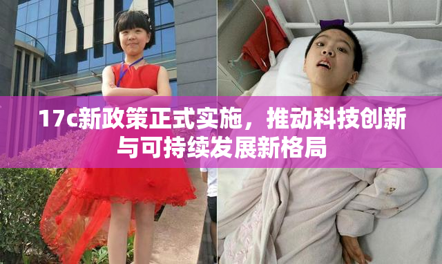 17c新政策正式实施，推动科技创新与可持续发展新格局