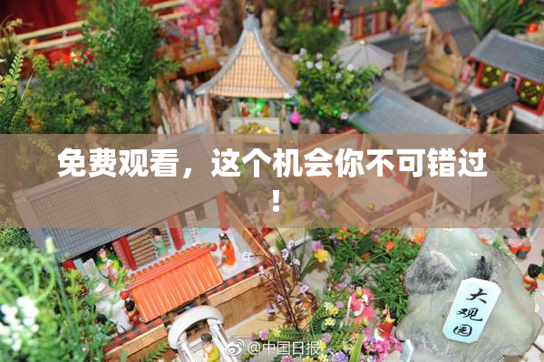 免费观看，这个机会你不可错过！