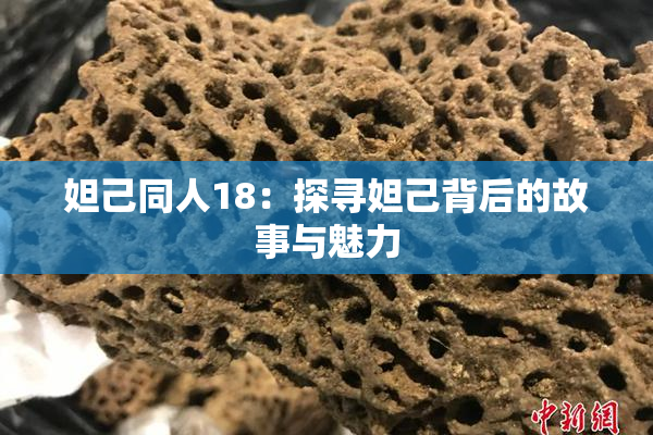 妲己同人18：探寻妲己背后的故事与魅力