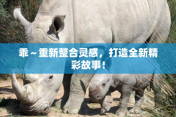 乖～重新整合灵感，打造全新精彩故事！