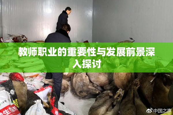 教师职业的重要性与发展前景深入探讨