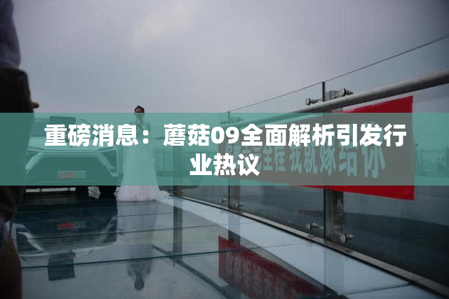 重磅消息：蘑菇09全面解析引发行业热议
