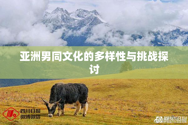亚洲男同文化的多样性与挑战探讨