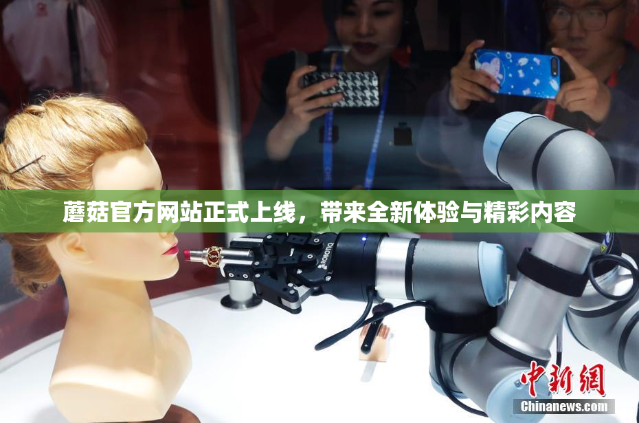 蘑菇官方网站正式上线，带来全新体验与精彩内容