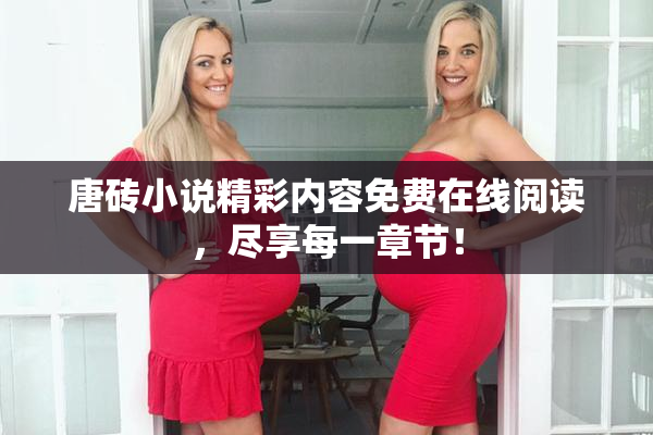 唐砖小说精彩内容免费在线阅读，尽享每一章节！
