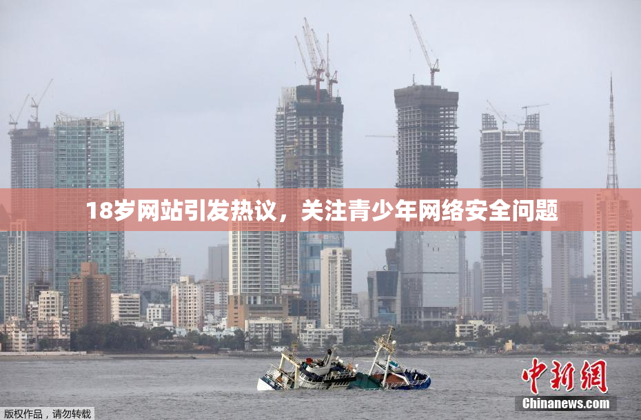 18岁网站引发热议，关注青少年网络安全问题