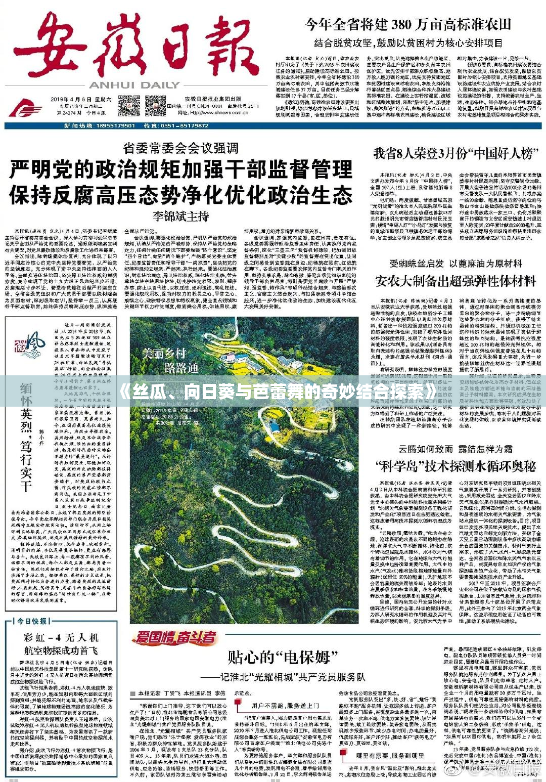 《丝瓜、向日葵与芭蕾舞的奇妙结合探索》