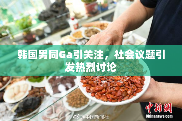 韩国男同Ga引关注，社会议题引发热烈讨论