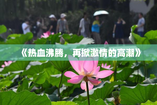 《热血沸腾，再掀激情的高潮》