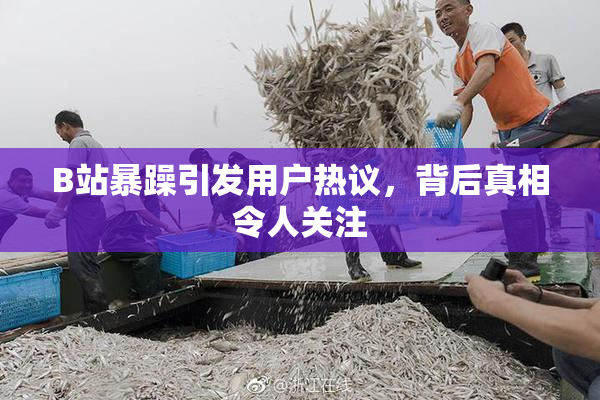 B站暴躁引发用户热议，背后真相令人关注