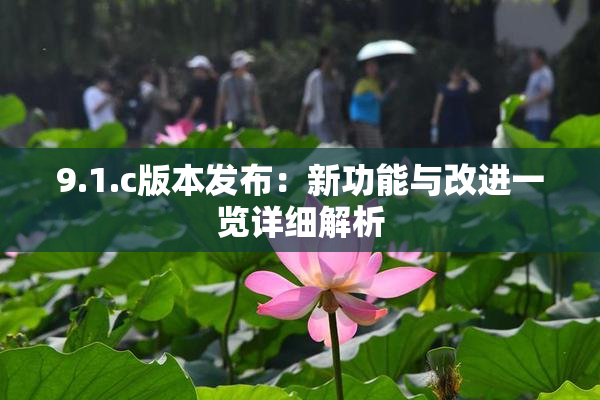 9.1.c版本发布：新功能与改进一览详细解析