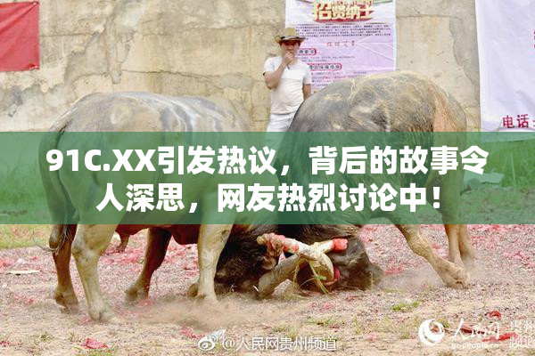 91C.XX引发热议，背后的故事令人深思，网友热烈讨论中！