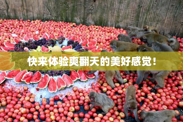 快来体验爽翻天的美好感觉！