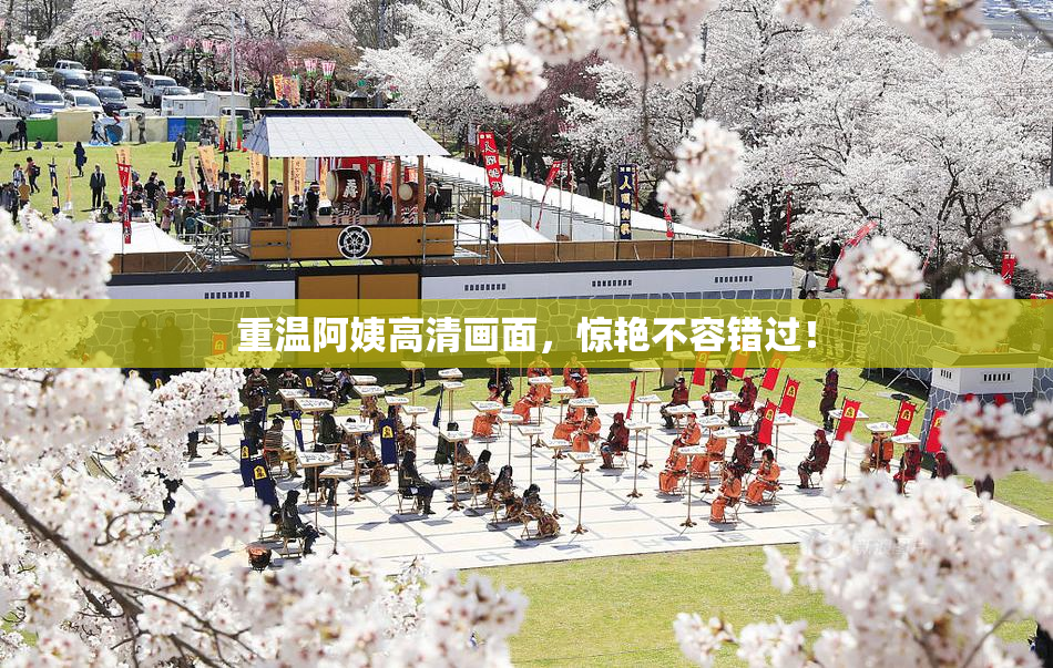 重温阿姨高清画面，惊艳不容错过！