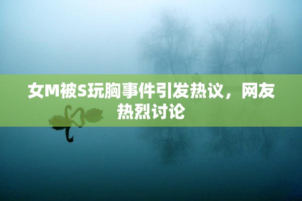 女M被S玩胸事件引发热议，网友热烈讨论