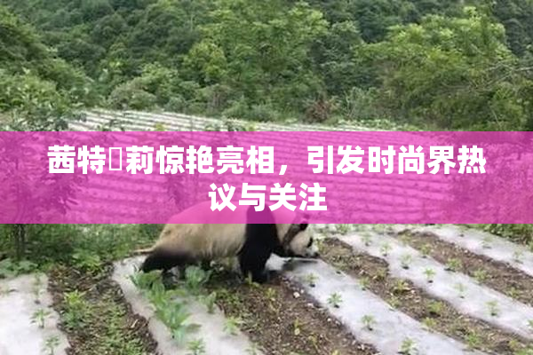 茜特菈莉惊艳亮相，引发时尚界热议与关注