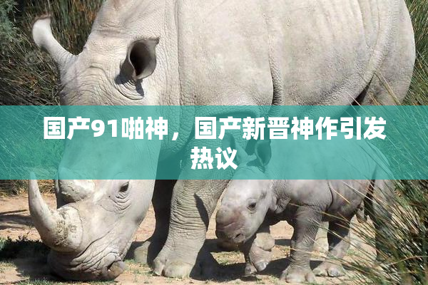 国产91啪神，国产新晋神作引发热议