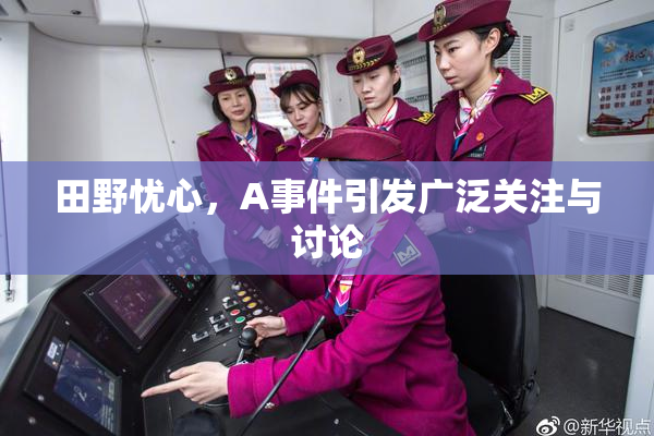 田野忧心，A事件引发广泛关注与讨论