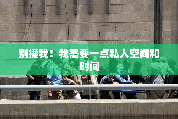 别揉我！我需要一点私人空间和时间