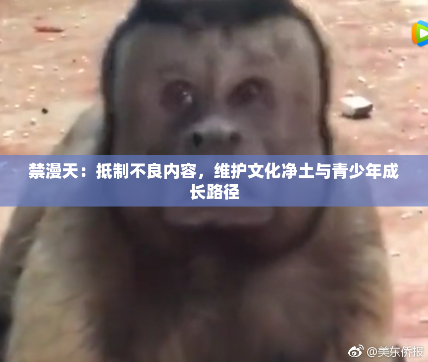禁漫天：抵制不良内容，维护文化净土与青少年成长路径