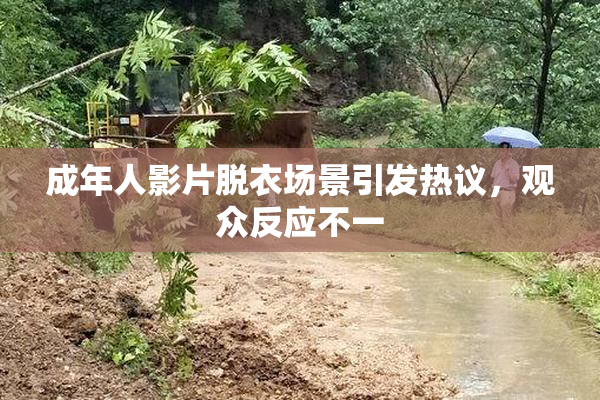 成年人影片脱衣场景引发热议，观众反应不一