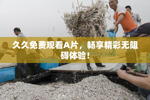 久久免费观看A片，畅享精彩无阻碍体验！
