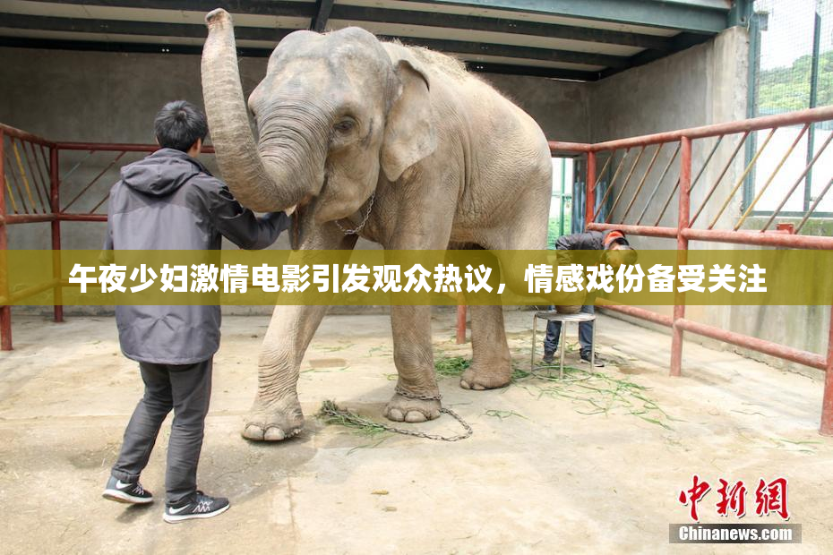 午夜少妇激情电影引发观众热议，情感戏份备受关注