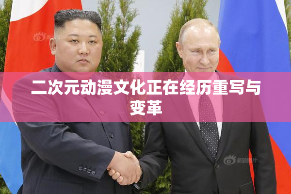 二次元动漫文化正在经历重写与变革