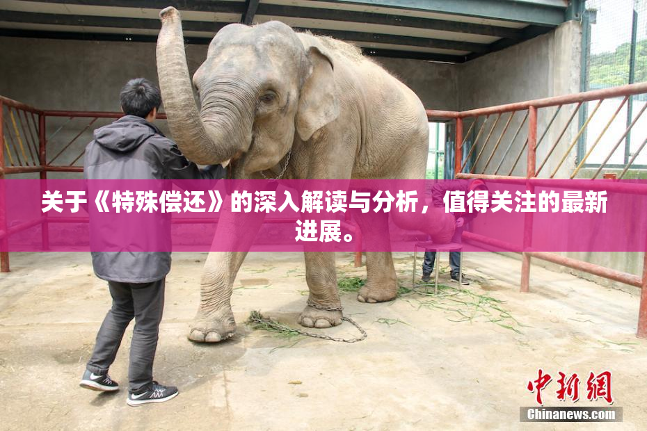 关于《特殊偿还》的深入解读与分析，值得关注的最新进展。