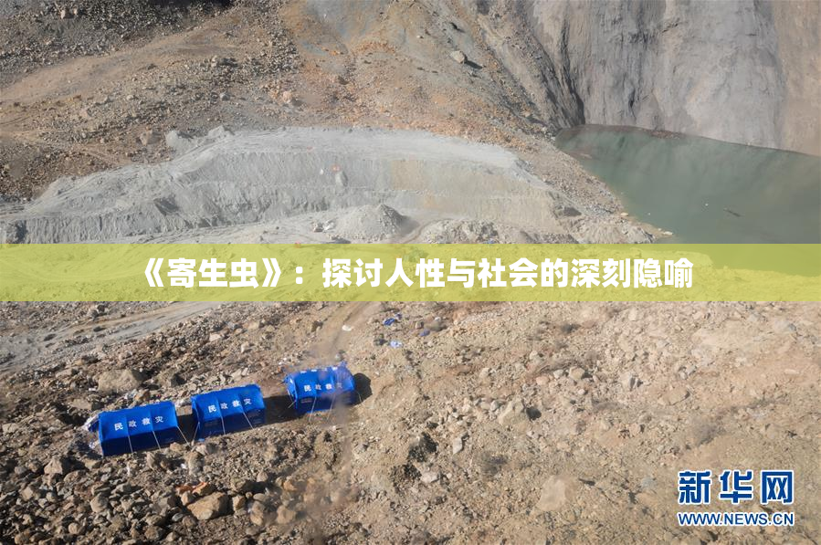 《寄生虫》：探讨人性与社会的深刻隐喻