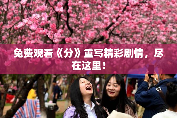 免费观看《分》重写精彩剧情，尽在这里！