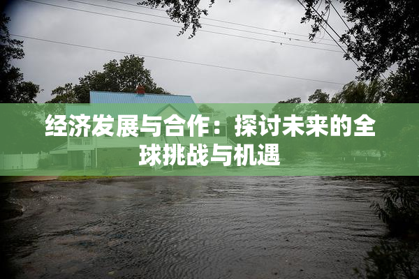 经济发展与合作：探讨未来的全球挑战与机遇