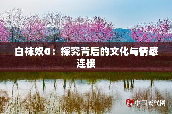白袜奴G：探究背后的文化与情感连接