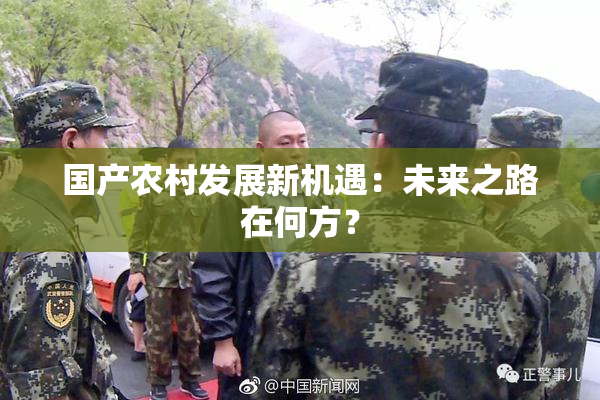 国产农村发展新机遇：未来之路在何方？