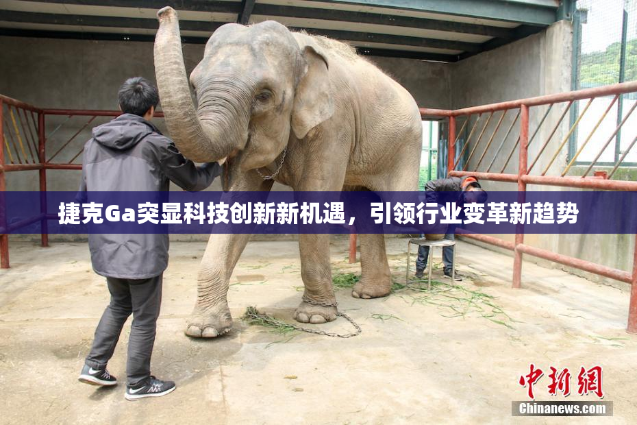 捷克Ga突显科技创新新机遇，引领行业变革新趋势