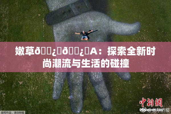 嫩草🌿‌🌿‌A：探索全新时尚潮流与生活的碰撞
